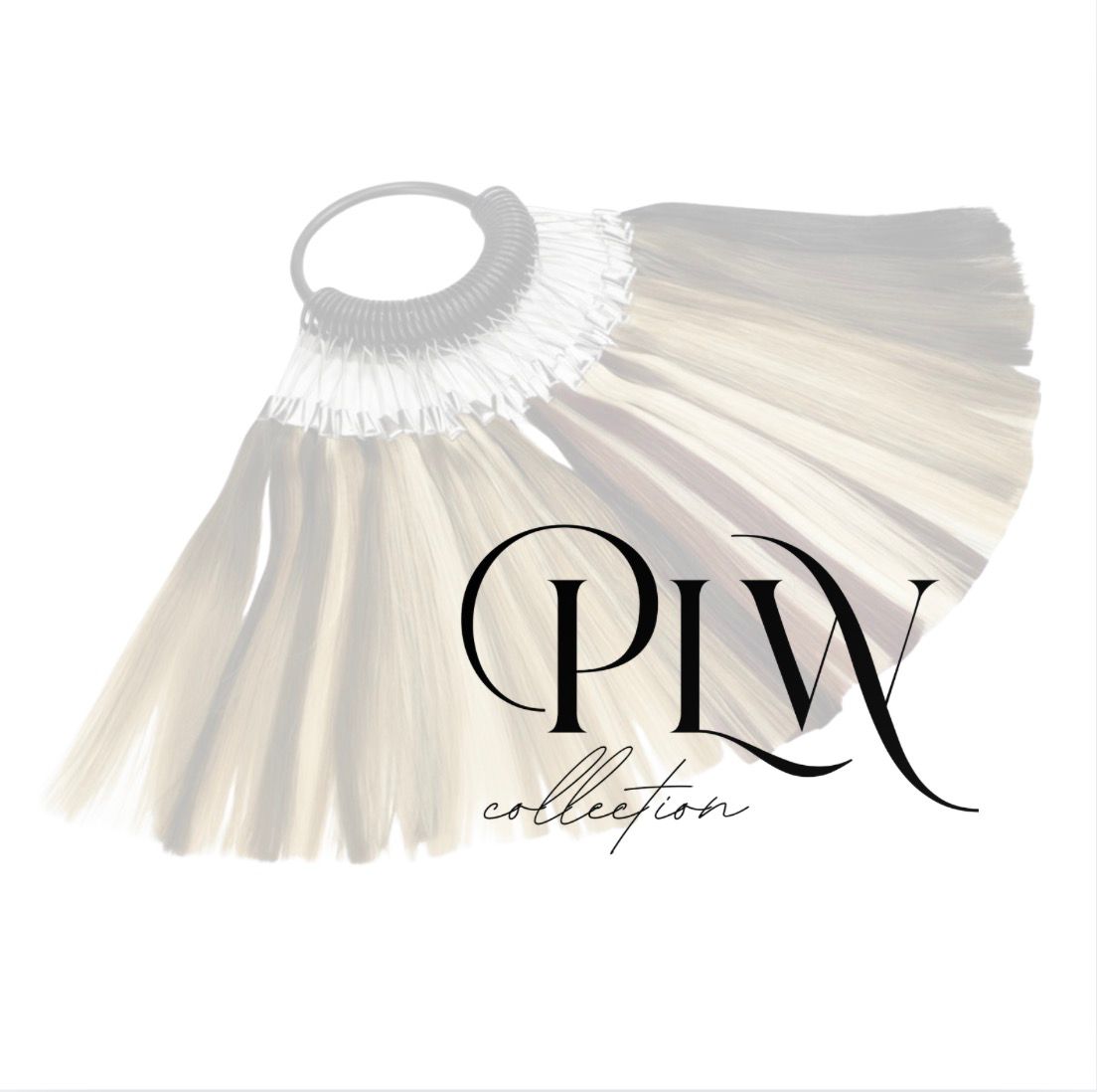 PLW Collection Colour Swatch Ring